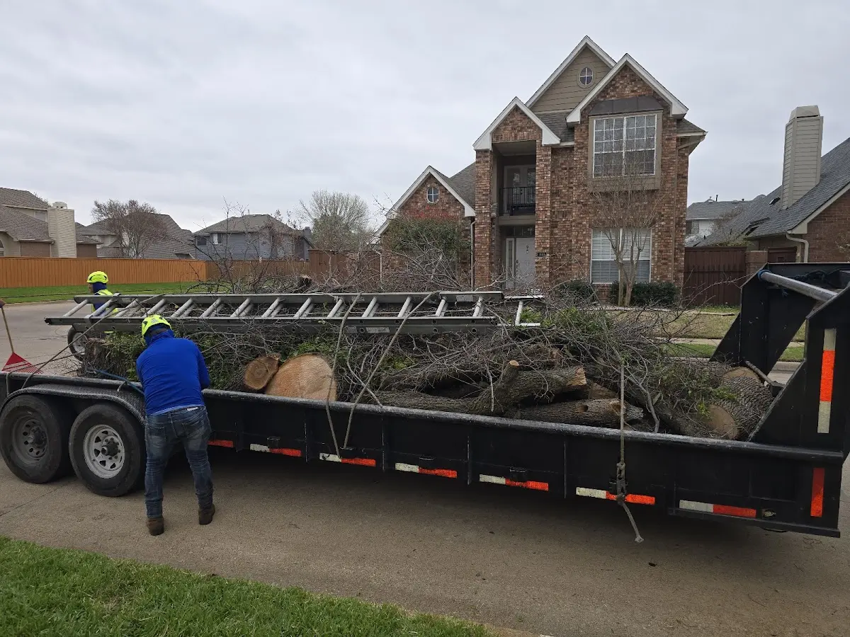 Expert Tree Fertilization with proper safety equipment in Harborcreek